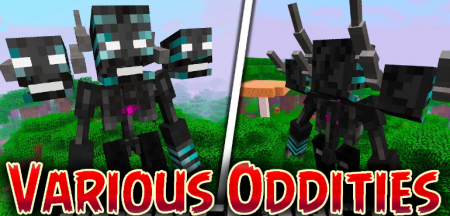  Various Oddities  Minecraft 1.12.1