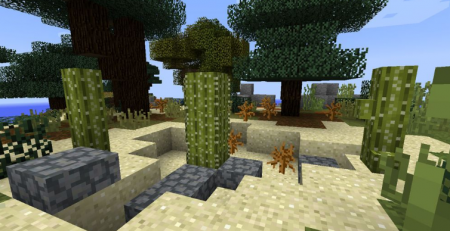  Nautral Decor  Minecraft 1.15.2