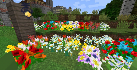  Nautral Decor  Minecraft 1.16.4