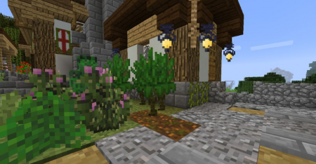  Nautral Decor  Minecraft 1.16.4