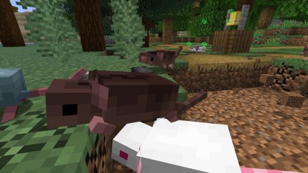  Rats Mischief  Minecraft 1.16.2