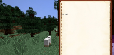  Book Display  Minecraft 1.15.2