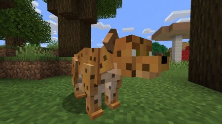  MexiCraft  Minecraft 1.16.4