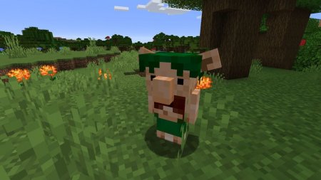  MexiCraft  Minecraft 1.16.5