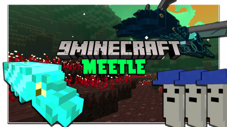  Meetle  Minecraft 1.16.5