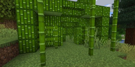  Bamboo Everything  Minecraft 1.15.1