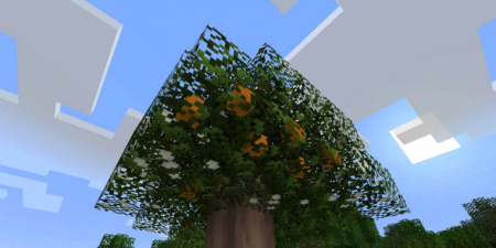  Fruit Trees  Minecraft 1.16.4