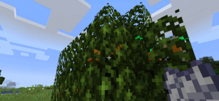  Fruit Trees  Minecraft 1.16.4