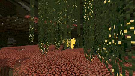  Undergarden  Minecraft 1.16.1