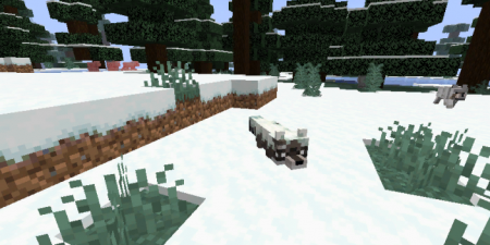  FurBandits  Minecraft 1.16.5