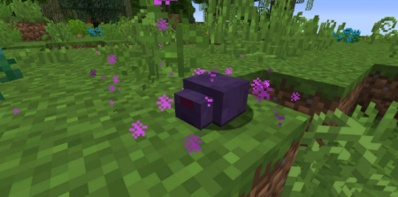  Friendly Endermite  Minecraft 1.16.4