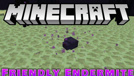  Friendly Endermite  Minecraft 1.16.4