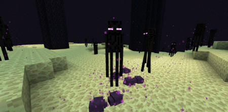  Friendly Endermite  Minecraft 1.16.4