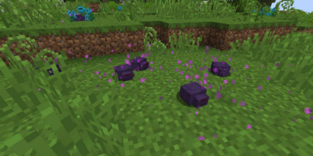  Friendly Endermite  Minecraft 1.16.4