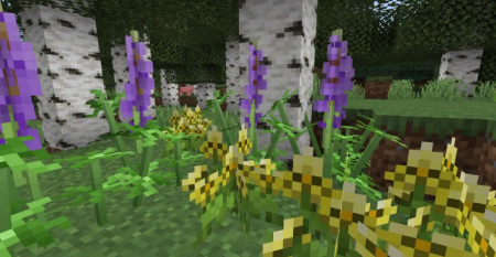  Serene Shrubbery  Minecraft 1.16.1