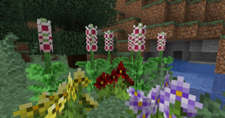  Serene Shrubbery  Minecraft 1.16.1