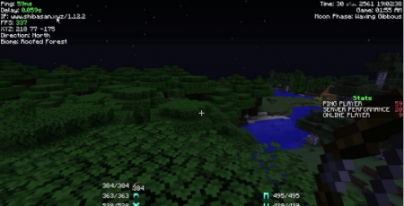  Indicatia  Minecraft 1.14.3