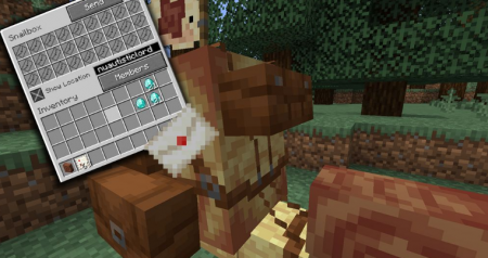  Snail Mail  Minecraft 1.15.2