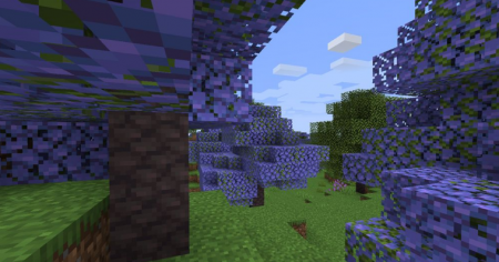  Abundance  Minecraft 1.16.4