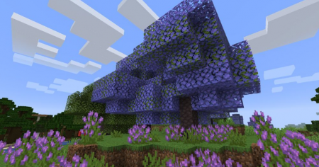  Abundance  Minecraft 1.16.4