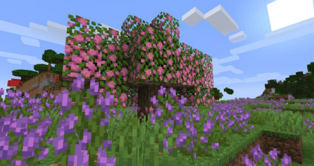  Abundance  Minecraft 1.16.4