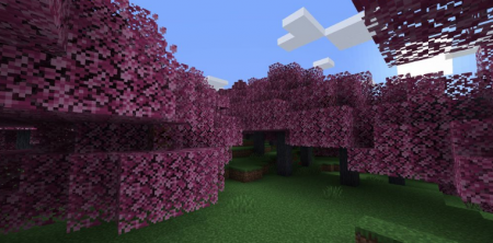  Treemendous  Minecraft 1.16.4