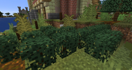  Lush Biomes  Minecraft 1.16.4