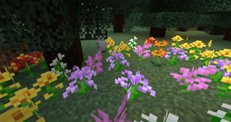  Lush Biomes  Minecraft 1.16.4