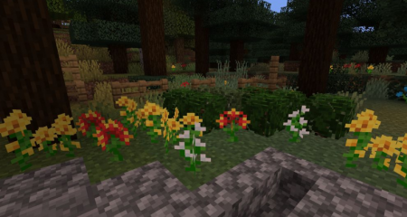  Lush Biomes  Minecraft 1.16.4