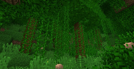  Better Foliage  Minecraft 1.16.5