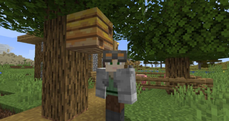  Village Employment  Minecraft 1.16.1