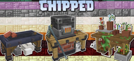  Chipped  Minecraft 1.16.4