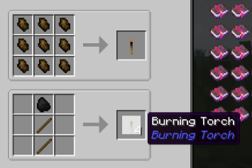  Burning Torches  Minecraft 1.16.4