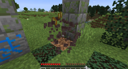  Stone Circles  Minecraft 1.16.4