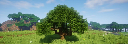  Dynamic Trees  Minecraft 1.16.4