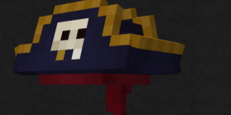  Pirate Hats  Minecraft 1.16.4