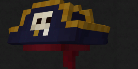  Pirate Hats  Minecraft 1.16.5