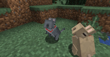  Vanilla Degus  Minecraft 1.16.4