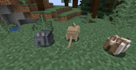  Vanilla Degus  Minecraft 1.16.4