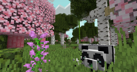 Mystics Biomes  Minecraft 1.16.1