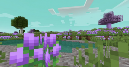  Mystics Biomes  Minecraft 1.16.1