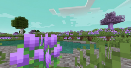  Mystics Biomes  Minecraft 1.16.2