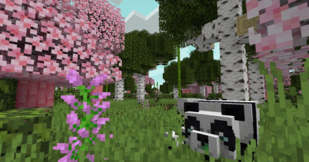  Mystics Biomes  Minecraft 1.16.2