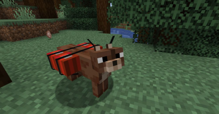  Caracal  Minecraft 1.16.1