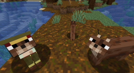  Caracal  Minecraft 1.16.1