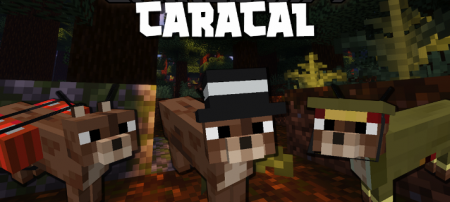  Caracal  Minecraft 1.16.1