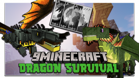  Dragons Survival  Minecraft 1.16.4