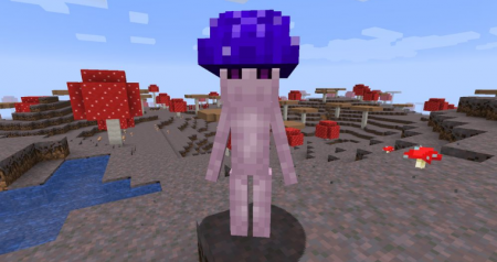  Leos Mushrooms  Minecraft 1.16.1