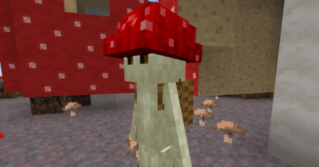  Leos Mushrooms  Minecraft 1.16.1