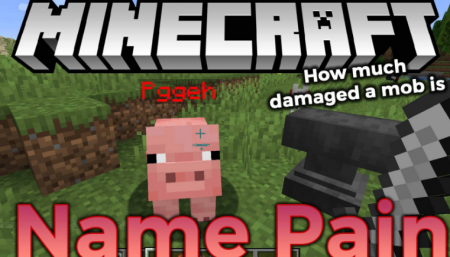  Name Pain  Minecraft 1.16.5